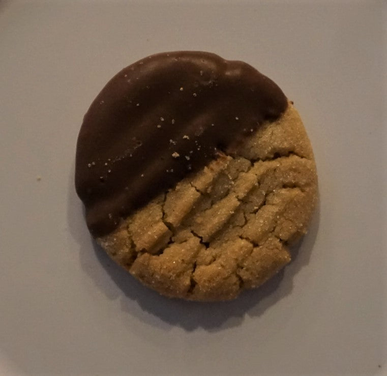 Peanut Butter Dipped in Chocolate